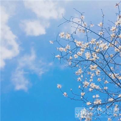 半岛(中国)体育截图